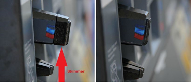 Skimmer Image 3